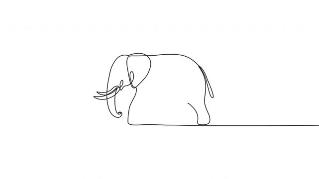 Continuous One-Line Drawing Animation - Elephant Vector Design