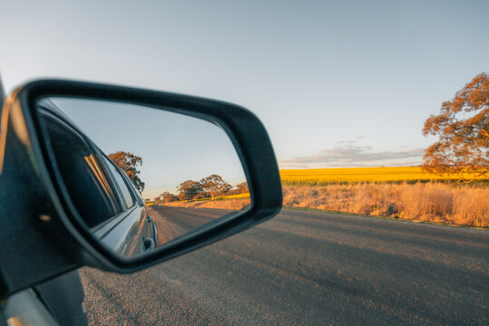 View of a canola field in the side mirror of a car driving on a rural road