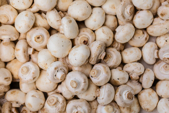 Fresh organic button mushrooms filling box