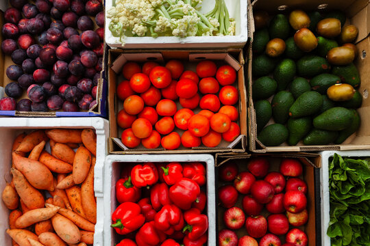 Boxes of fresh organic fruit and vegetable straight from farmers to food hub