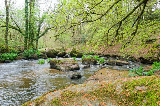 Le Chaos du Gou&euml;t offre une balade enchanteresse en Bretagne o&ugrave; la rivi&egrave;re serpente entre d'&eacute;normes blocs de granit moussus. Un site naturel sauvage, myst&eacute;rieux et id&eacute;al pour la randonn&eacute;e