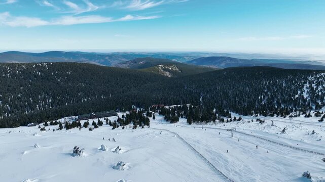 Tourist people skiing ski slope downhill Jeseniky local enjoying ice ski during winter natural ice form spruce tree Picea forest snow frost cold cool tundra biome frigid temperature aerial drone birds