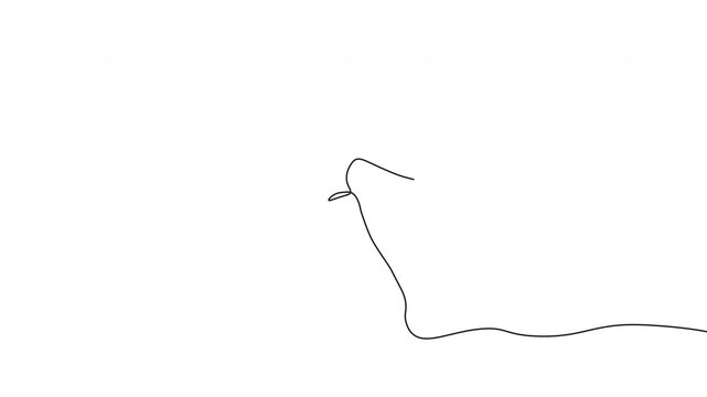 Minimalist Monochrome Line Sketches Sharp Smooth Abstract Curves in Dynamic