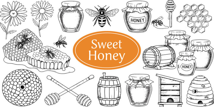 Hand drawn honey elements set with bee jars honeycomb hive flowers and tools vintage beekeeping illustration collection