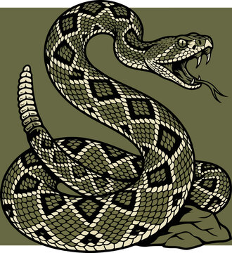 Stylized Illustration of an Aggressive Rattlesnake in a Coiled Defensive Position.