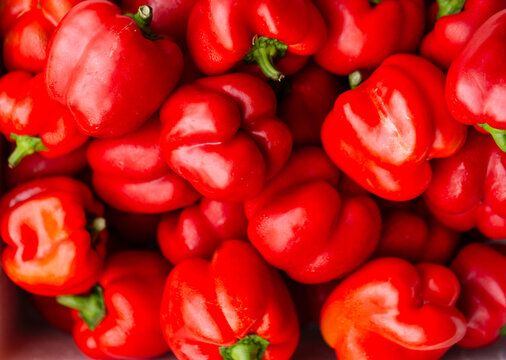 Full box of fresh red capsicum fruit from overhead