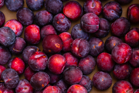 Full fruit box of fresh organic plums from overhead