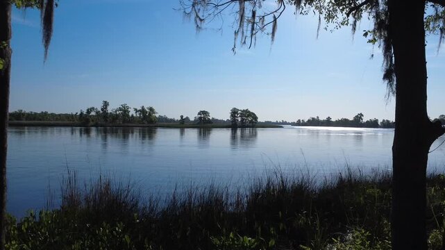 Savannah marsh and river scene with tranquil water and spanish moss. Aerial, drone shot