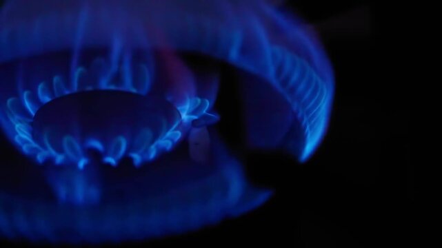 Macro close up of kitchen gas stove burner igniting with bright blue flames on dark background, domestic natural gas energy heating power cooking equipment