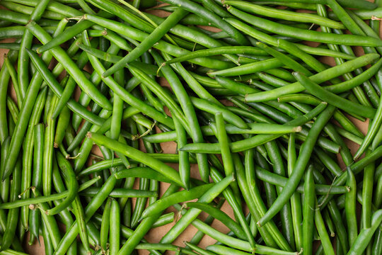 Fresh organic green beans filling box