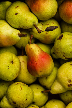 Fresh organic pears filling box