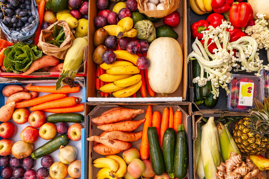 Colourful organic fruit and vegetable food split into boxes for local families