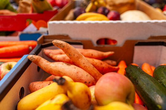 Colourful fresh food in boxes at organic fruit and veg farm to table food hub