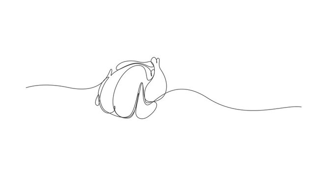 Continuous one line drawing a fried chicken. Breakfast concept.Fried turkey continuous one line drawing animation,2