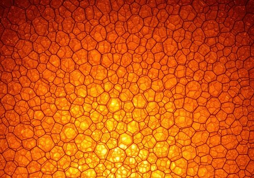 Close up view displays the intricate geometric network of soap bubbles illuminated by warm light.