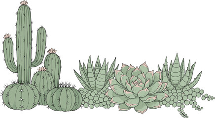 Group of beautiful green succulents and various cactuses in desert style botanical collection isolated on transparent. © Mst Fateha Begum