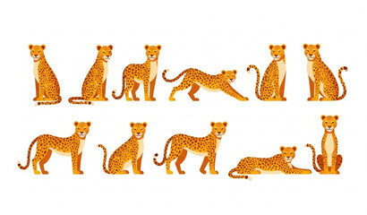 Cartoon leopard vector set with spotted wild cats in flat minimal style isolated on white background © MeheDi