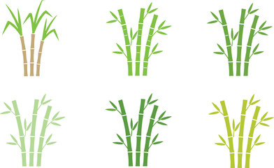 Fototapeta premium Vector illustration of bamboo stalks with leaves in different colors and styles in decorative design