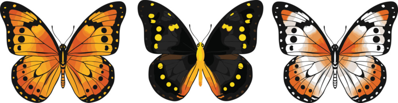 Vector illustration of butterflies with colorful wings and unique patterns in decorative design
