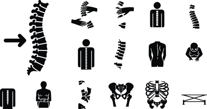 Anatomical illustrations human skeleton and body parts in black and white
