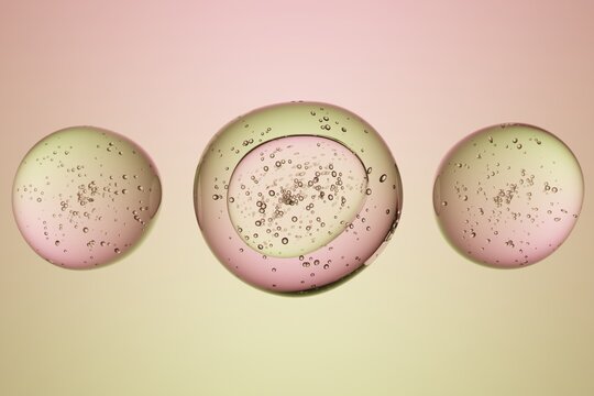 3D rendered cells or embryos on gradient background