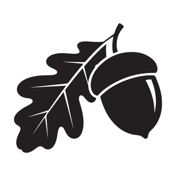 Black acorn and oak leaf silhouette vector illustration isolated on white background
