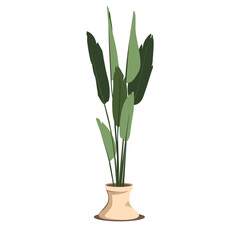 Fototapeta premium Tall snake plant in beige fabric pot, vector flat illustration of indoor potted houseplant for home decor design