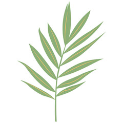 Fototapeta premium Tropical palm frond leaf branch, vector flat illustration of botanical foliage for jungle and exotic plant design