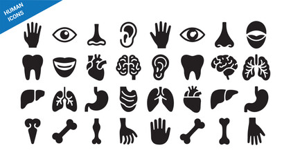 Obraz premium Medical symbol icons. Human anatomy solid style set