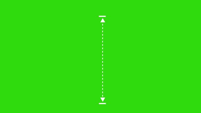 White vertical line measuring height animation, alpha channel 4k Animation video on Black Background