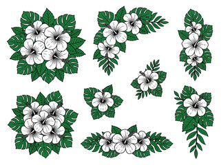 Tropical White Hibiscus Flower Bouquets and Green Monstera Leaves Vector Illustrations Set. Botanical Floral Design Elements for Summer Decorations. © Dreamine