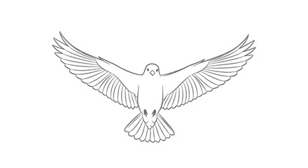 Fototapeta premium Outline drawing of a white dove with wings spread, flying gracefully against a white background.