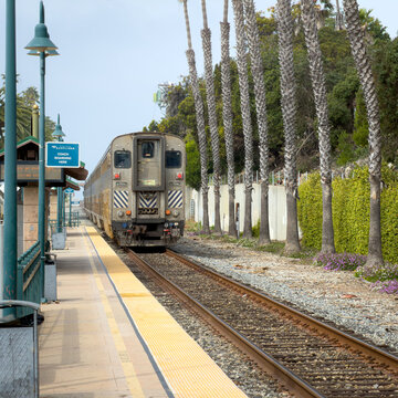 VENTURA, CA, MAR 30, 2026: Rear of Pacific Surfliner train departing Ventura Station, palm trees and flowering trackside vegetation alongside