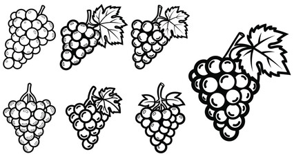 Grape Bunches Collection: Outline Icons for Fresh Fruit and Wine Design