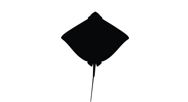 Simple black stingray illustration against a white background silhouette
