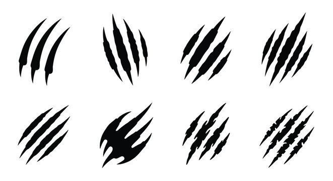 Sharp claw marks in a repeating pattern a dramatic silhouette