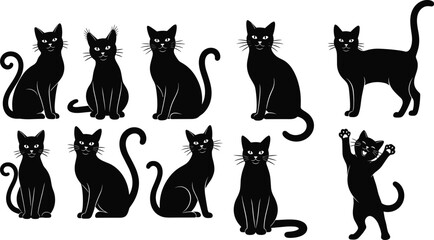 Stylized cat silhouettes sitting, standing, playful poses, feline behavior concept, pet care, animal lifestyle vector illustration, black white modern artwork design © ABU