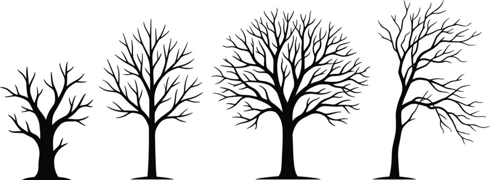 Winter tree silhouette illustration set featuring four leafless trees with distinct branching patterns, seasonal vector graphic, nature design art, black-and-white drawing