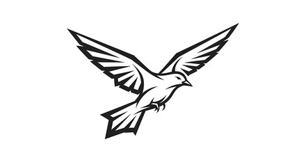 Fototapeta premium Black and white of a bird in flight with detailed wing feathers wings silhouette