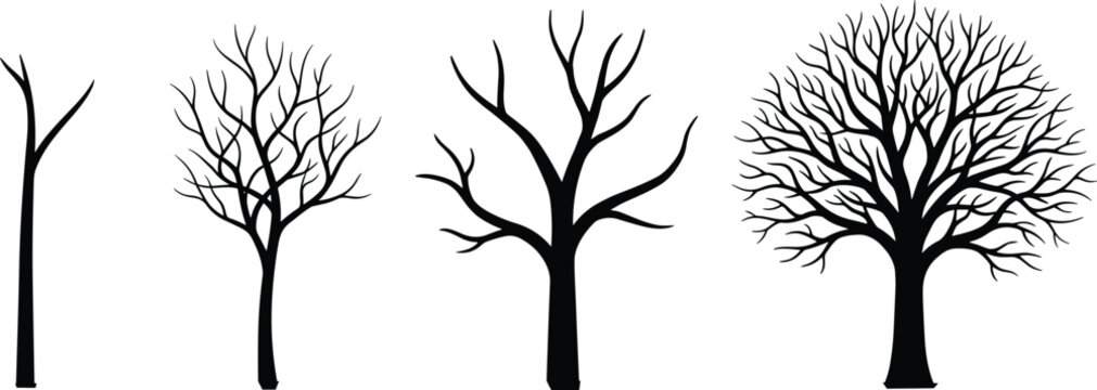 Leafless tree silhouette illustration set featuring four distinct branching patterns, seasonal vector graphic, nature design art, black-and-white drawing
