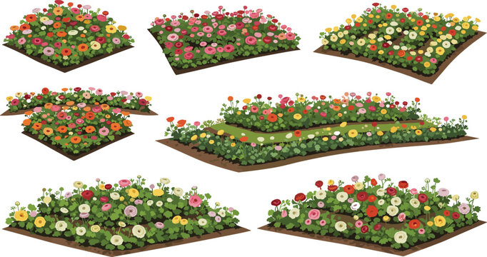 Colorful Garden Flower Bed Set With Blooming Zinnia And Dahlia Plants In Various Arrangements