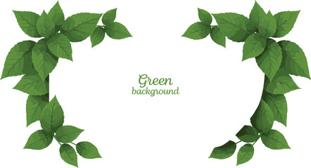 Green Leaf Corner Vector Illustration with Realistic Foliage Design for Nature, Botanical, Eco, and Decorative Background Frames © Hosneara