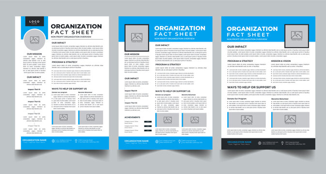 Nonprofit Organization Fact Sheet, Organization Fact Sheet for Business Concept Layout With Three Page & Color Design Step