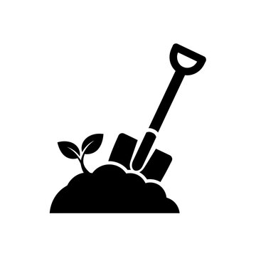 Gardening shovel and plant in soil, symbolizing growth and cultivation in nature.