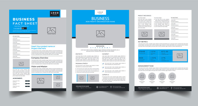 Nonprofit Organization Fact Sheet, Organization Fact Sheet for Business Concept Layout With Three Page & Color Design Step
