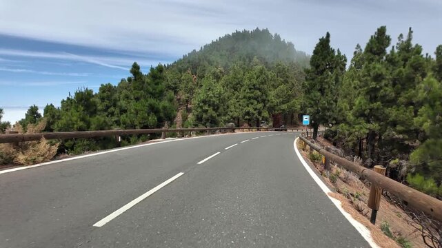 Driving pov on a winding mountain road through a forest