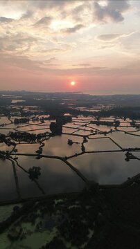 Pemandangan Udara Tambak Ikan Tradisional dengan Latar Belakang Matahari Terbenam (Senja) yang Indah