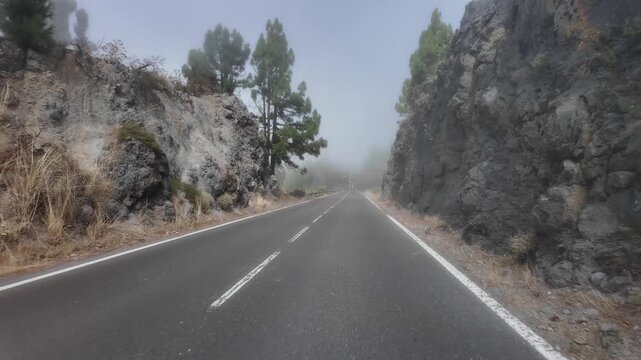 Driving pov on foggy mountain road through pine forest