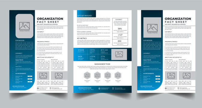Nonprofit Organization Fact Sheet, Organization Fact Sheet for Business Concept Layout With Three Page & Color Design Step
