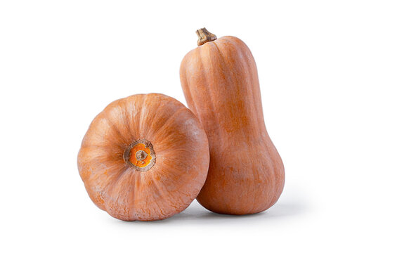 Nutmeg pumpkin, Georgian culture, Matilda hybrid, on a white background, isolate,